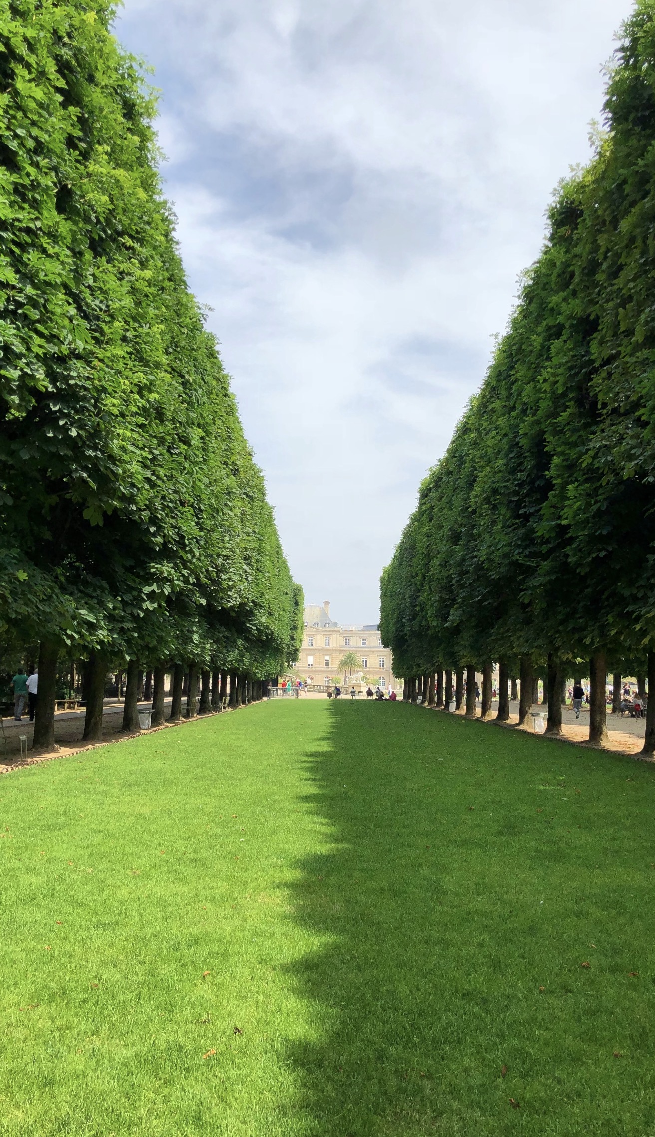 Perspectiva verde en los Jardines de Luxemburgo