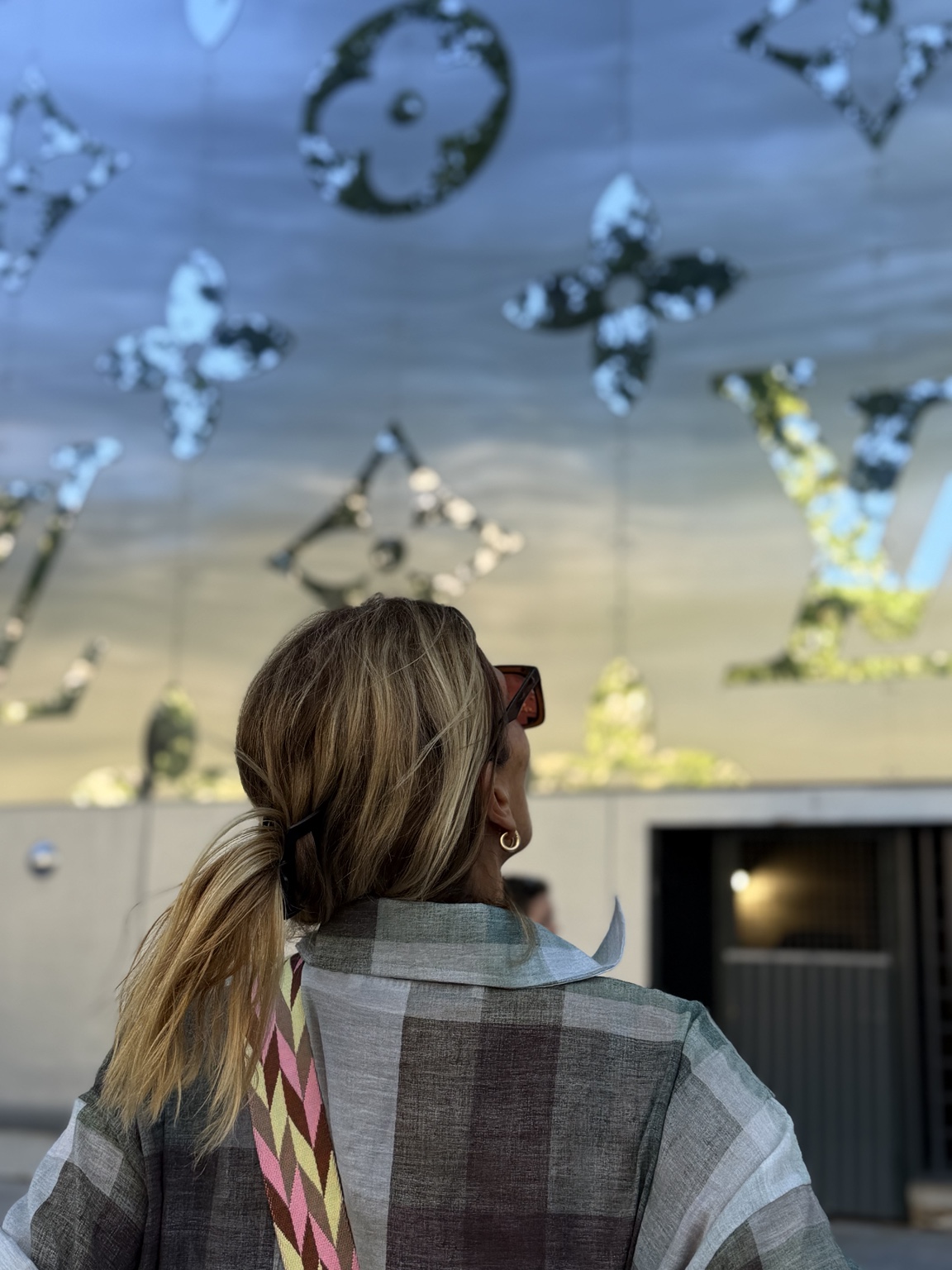 Mirar hacia arriba, Fondation Louis Vuitton